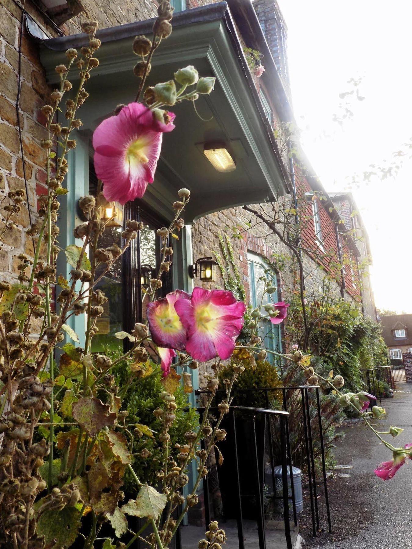 The Angel B&B ชิชิสเตอร์ ภายนอก รูปภาพ